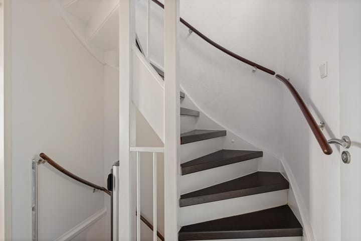 Photo 13 of Prunus 38