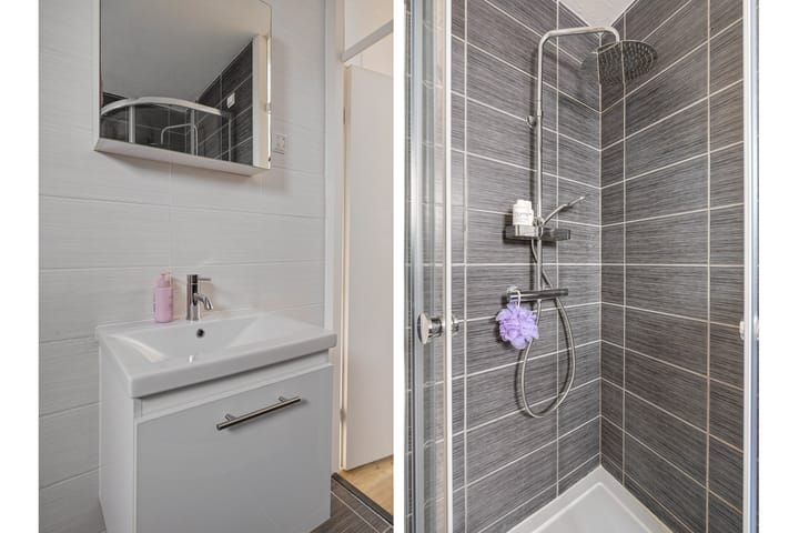 Photo 15 of Prunus 38