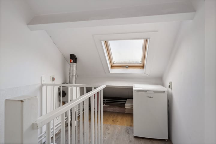 Photo 21 of Prunus 38