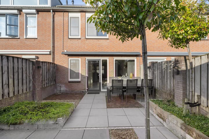 Photo 24 of Prunus 38