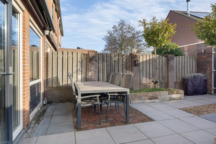 Photo 26 of Prunus 38