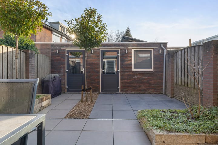 Photo 27 of Prunus 38