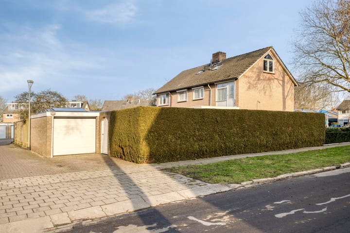 Foto 3 van Vogelzang 8