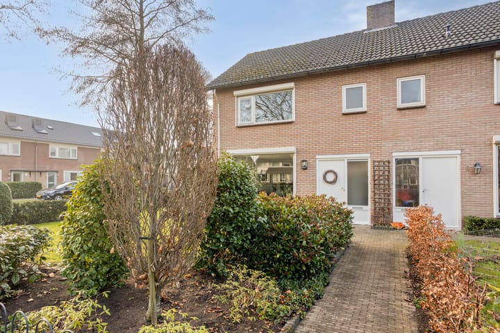 Foto 6 van Vogelzang 8