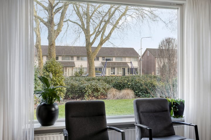 Foto 11 van Vogelzang 8