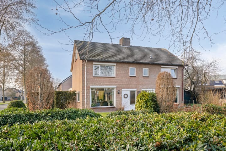 Foto 47 van Vogelzang 8