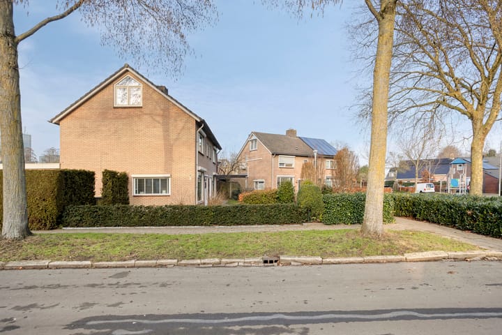 Foto 48 van Vogelzang 8