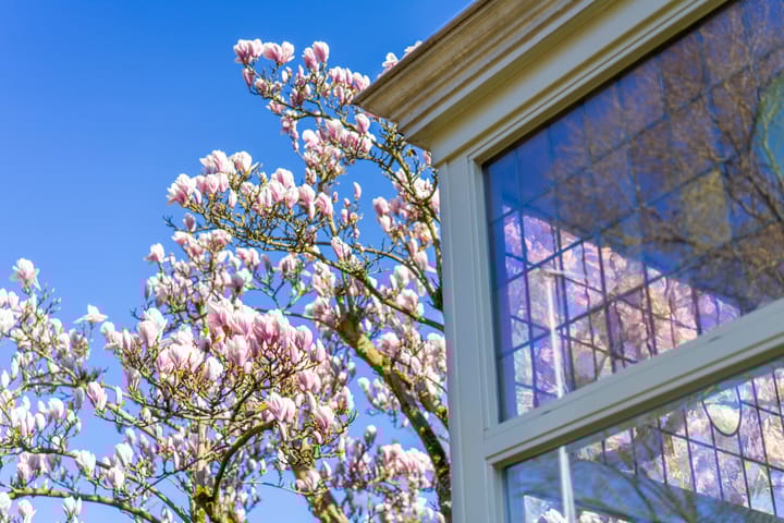 Foto 16 van Oostdam 13