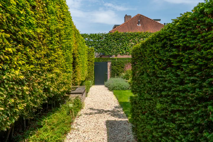 Foto 57 van Oostdam 13