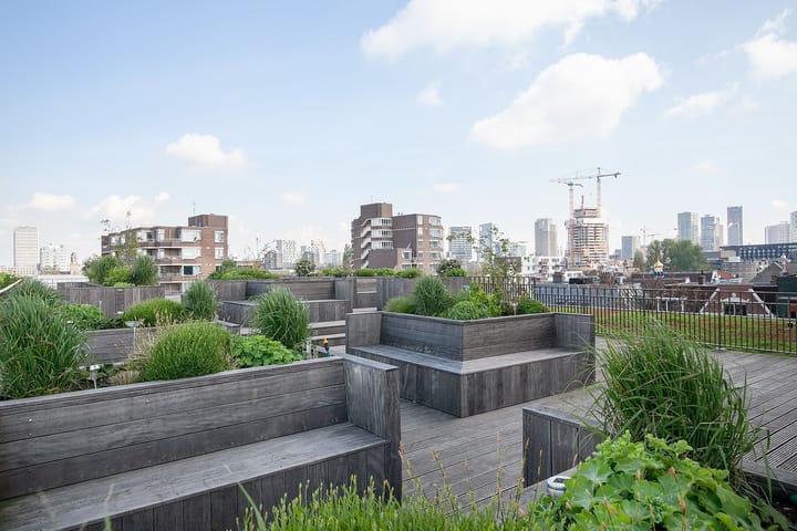 Foto 54 van Van Vollenhovenstraat 3-415