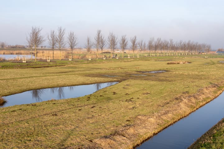 Foto 87 van Meerweg 28