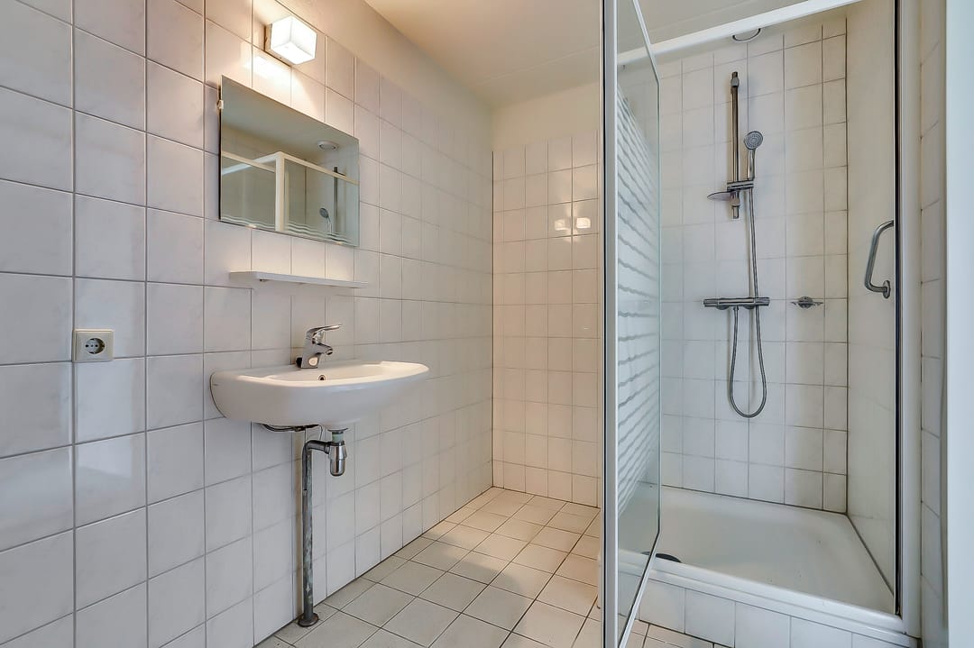 Foto 13 van Veldzuring 109