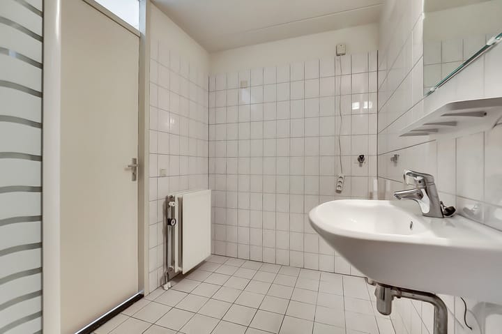 Foto 14 van Veldzuring 109