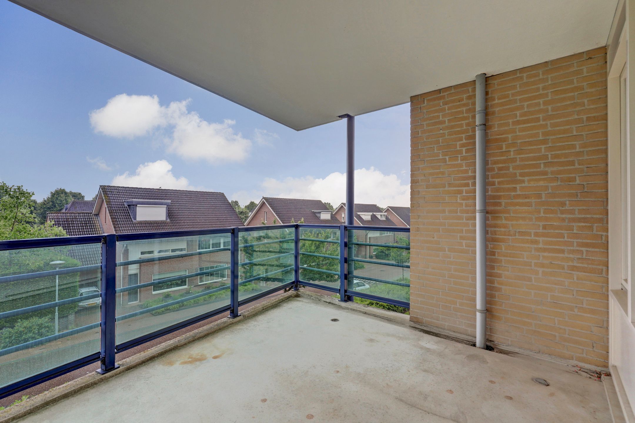 Foto 15 van Veldzuring 109