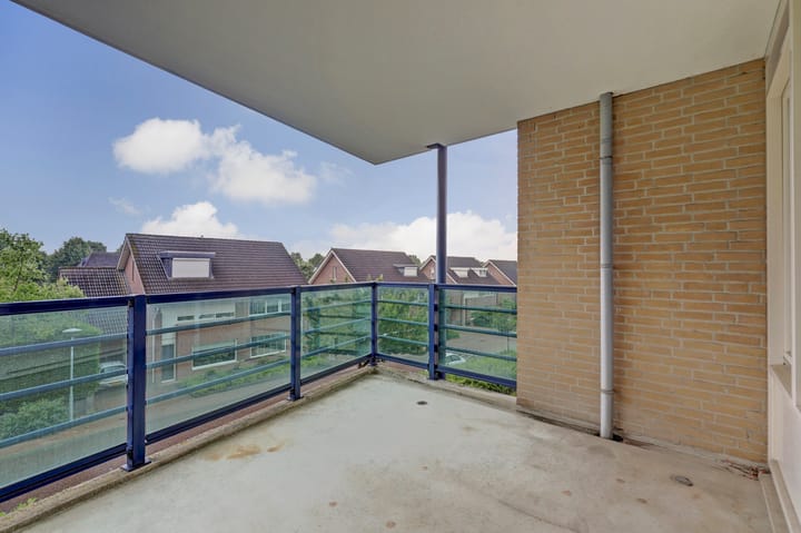 Foto 15 van Veldzuring 109