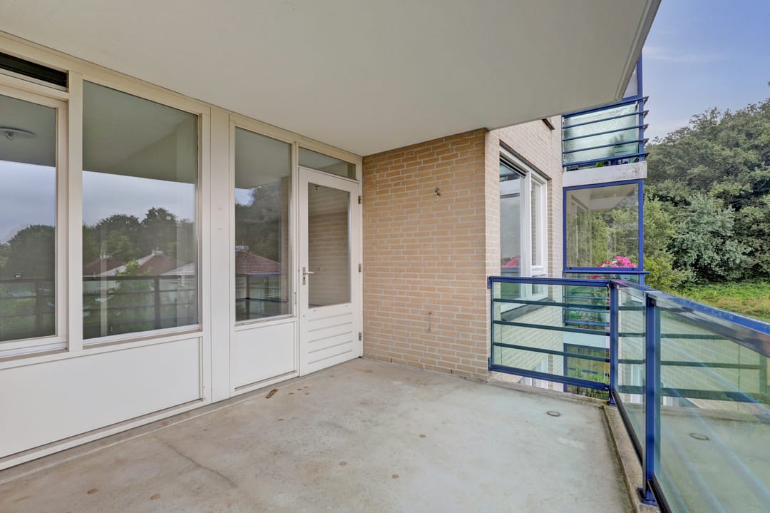 Foto 16 van Veldzuring 109