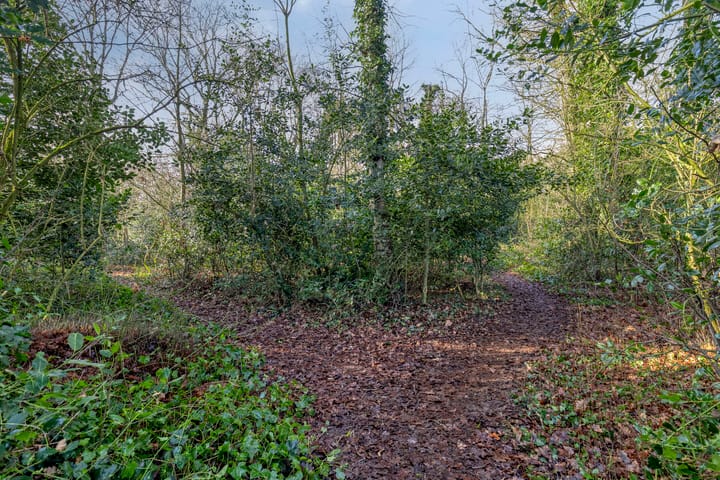 Foto 49 van Chopinlaan 42