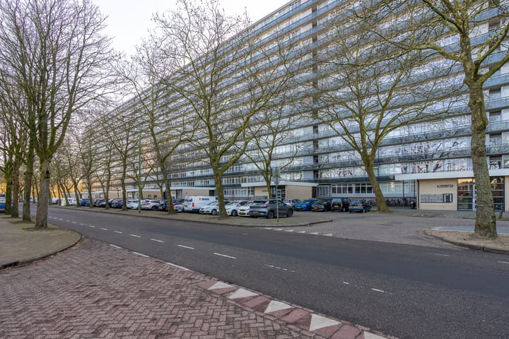 Photo 33 of Laan van Vollenhove 2617