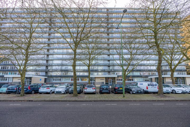 Photo 35 of Laan van Vollenhove 2617