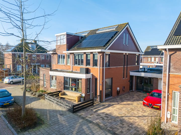 Optimist 10 main image