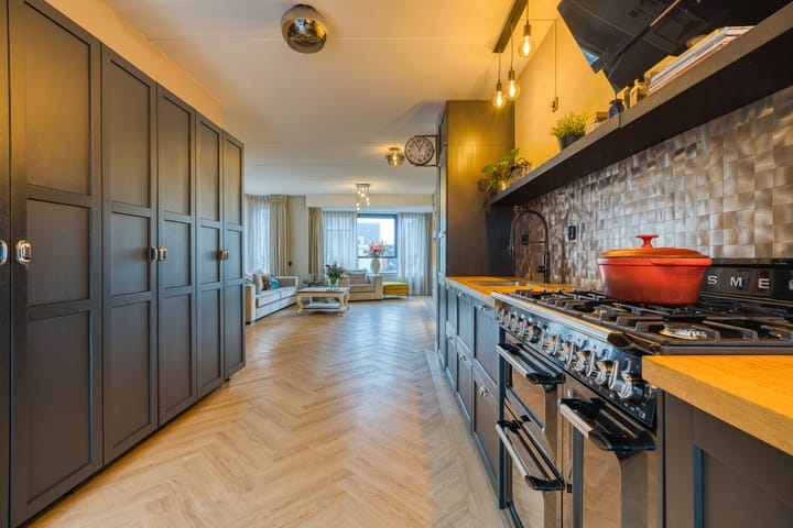 Photo 14 of Optimist 10