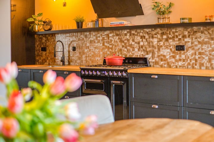 Photo 16 of Optimist 10