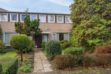 undefined main image