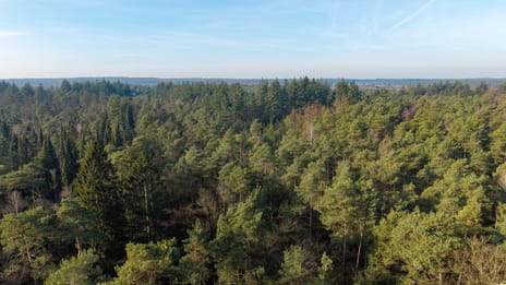 Hanendorperweg 512-114 tertiary image