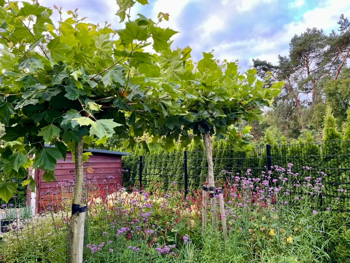 Foto 23 van Hanendorperweg 512-114