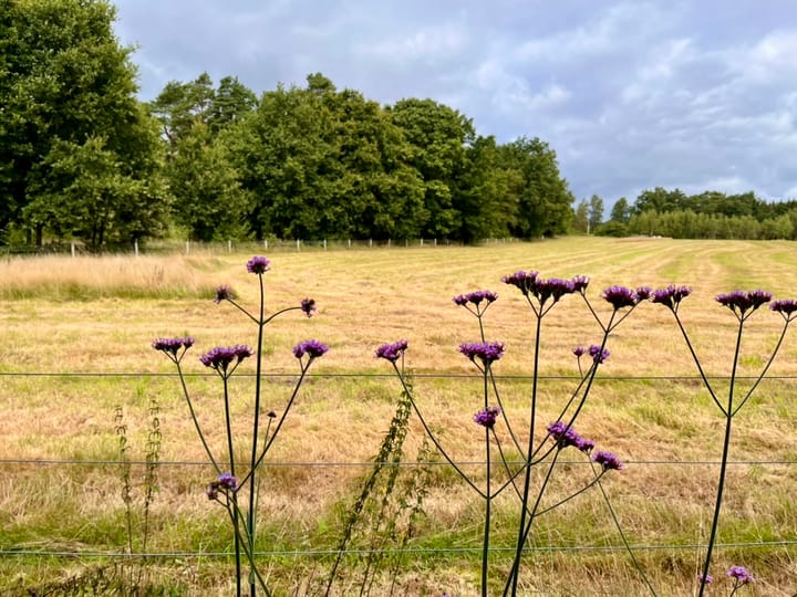 Foto 28 van Hanendorperweg 512-114