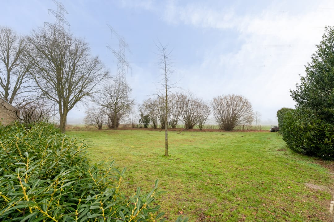 Foto 38 van Albert van der Meerstraat 50