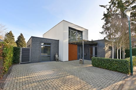 undefined main image