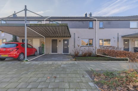 undefined main image