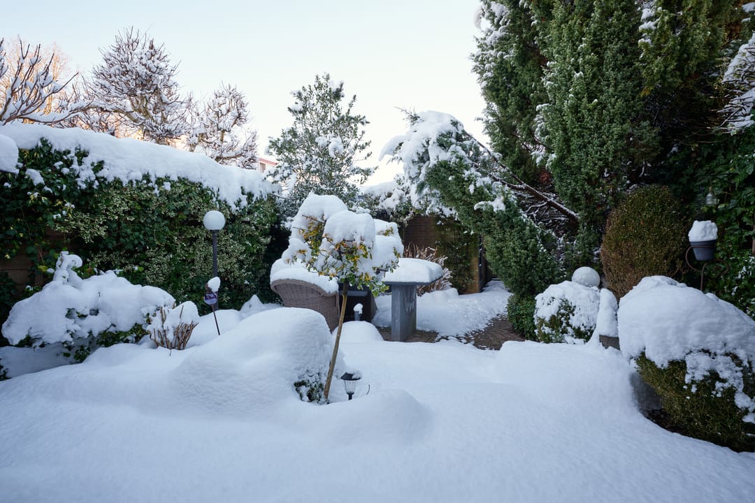 Photo 11 of Wolweverslaan 44