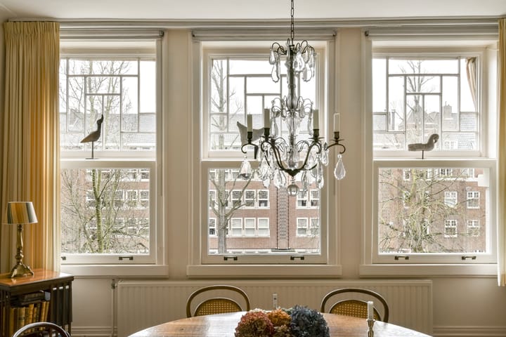 Foto 9 van Minervalaan 41-3