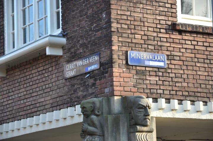 Foto 37 van Minervalaan 41-3