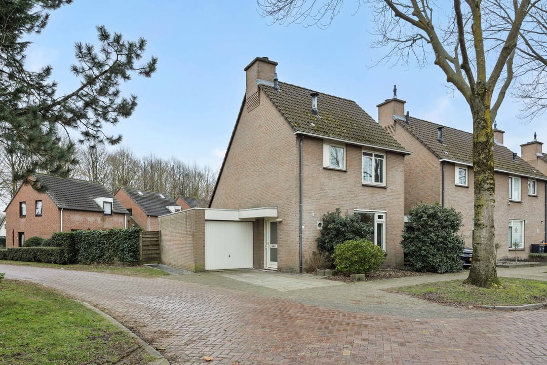 Foto 1 van Jeneverbes 8