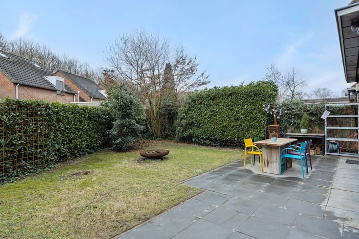 Foto 3 van Jeneverbes 8