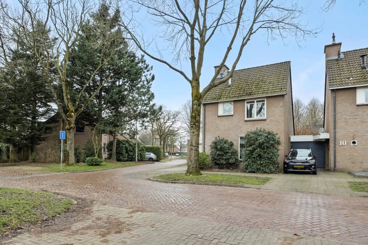 Photo 33 of Jeneverbes 8