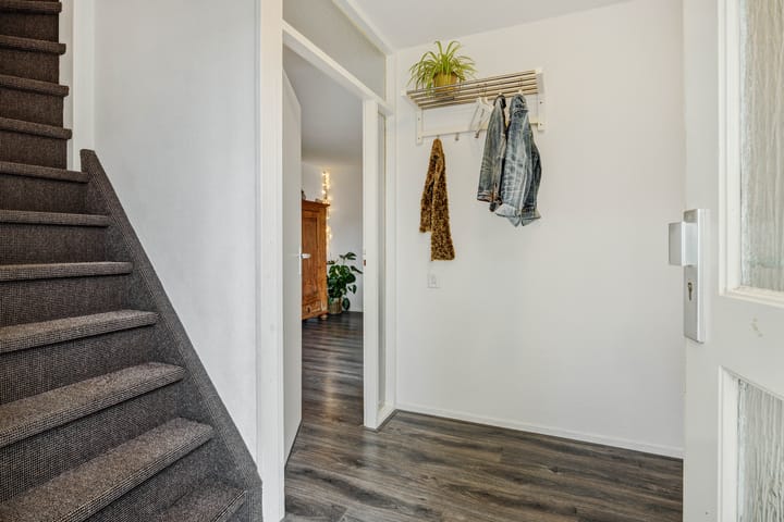 Photo 8 of Jeneverbes 8