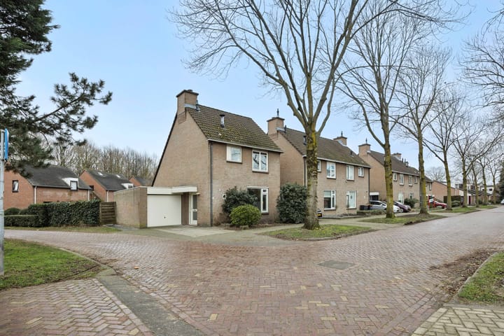 Photo 5 of Jeneverbes 8