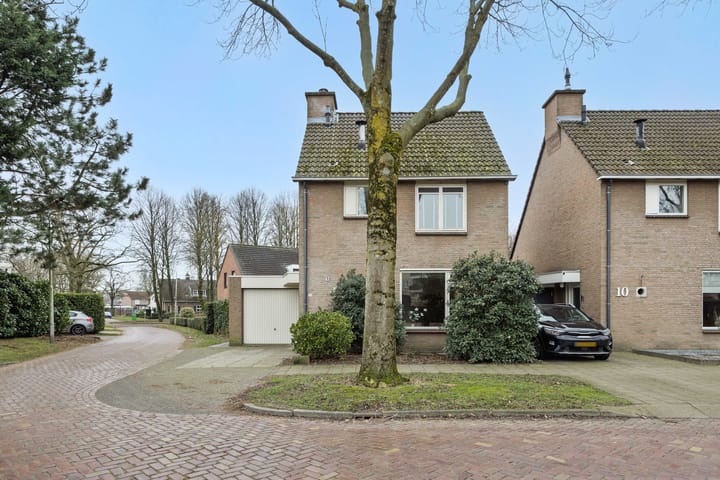 Photo 32 of Jeneverbes 8