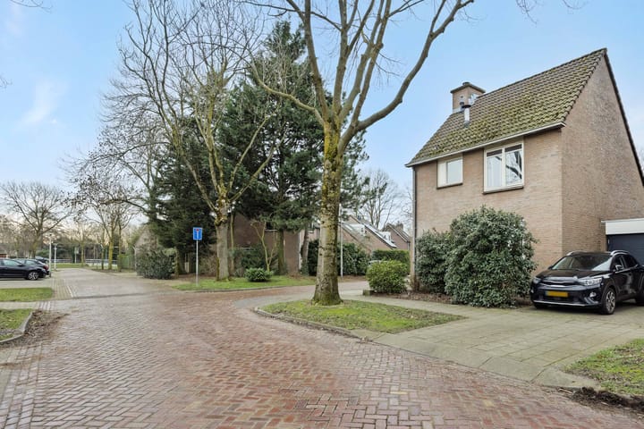 Photo 34 of Jeneverbes 8