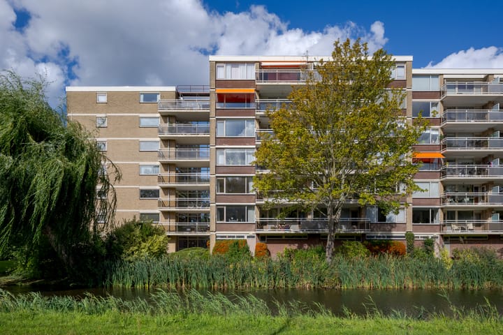 Foto 28 van Apollolaan 206