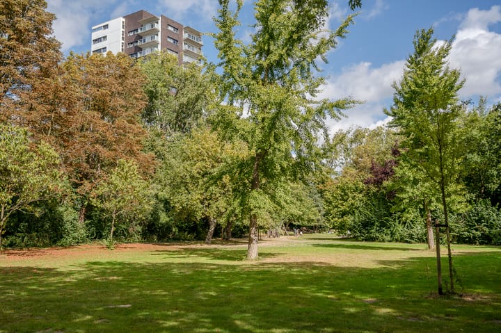 Foto 34 van Apollolaan 206