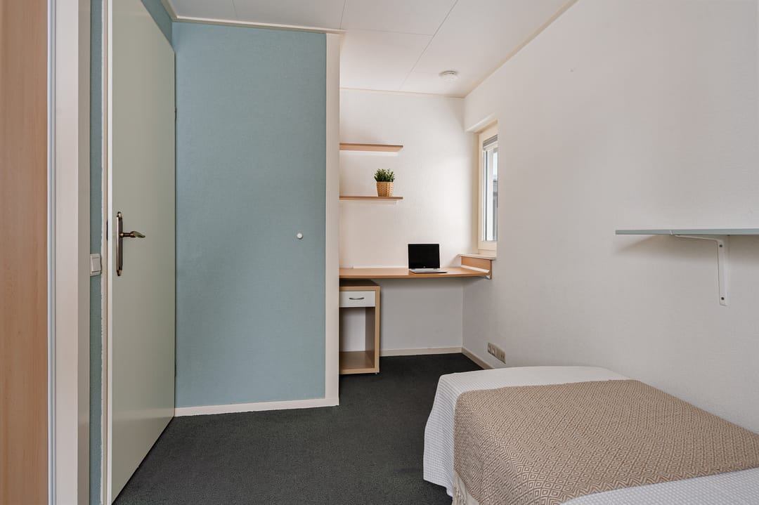 Foto 77 van Kastanjestraat 19