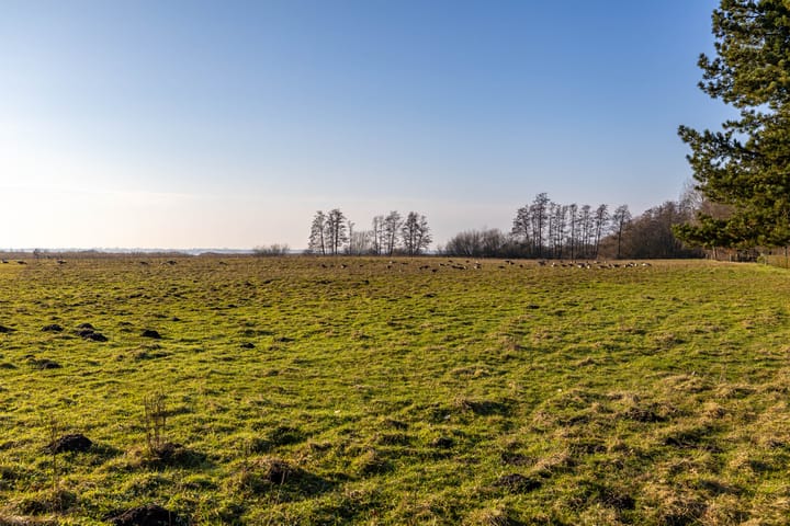 Foto 51 van Oeverlanden 7