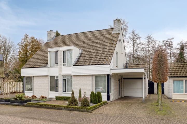 Foto 6 van Rietkampen 24