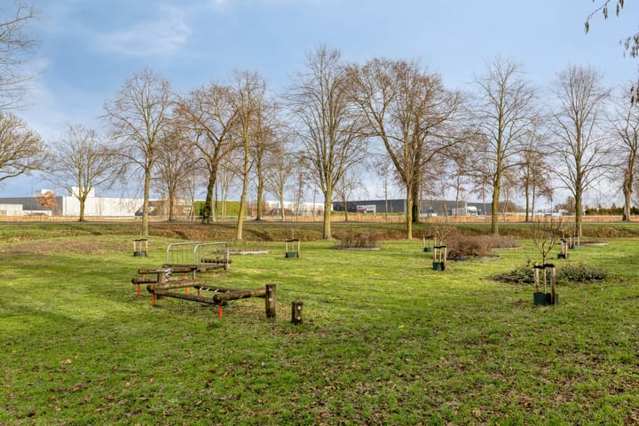 Foto 42 van Rietkampen 24