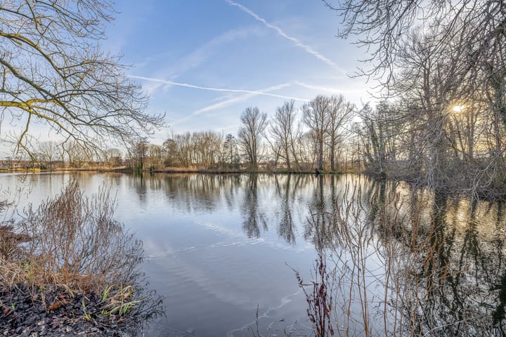 Foto 35 van Esdoornlaan 23